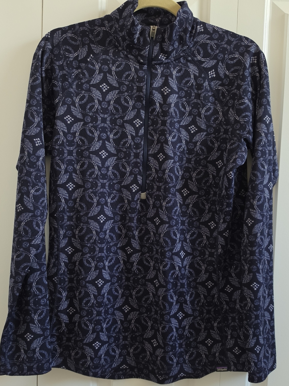 Capilene Midweight Zip-Neck Long Zleeve Pullover